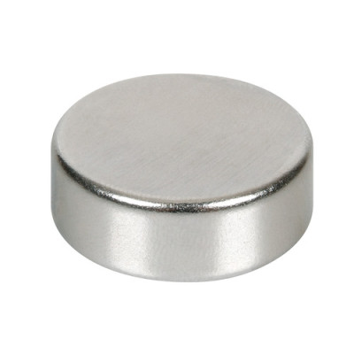 CALAMITA 27 X 10 MM N35