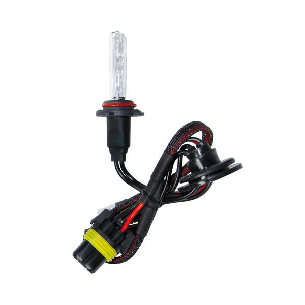 *LAMPADA  HID H10 6000K (1PC)