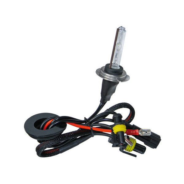 LAMPADA  HID  H7 8000K (1PC)